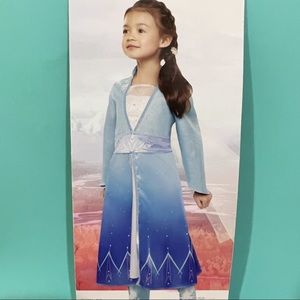 Disney Frozen Elsa blue Princess dress Toddler Girl